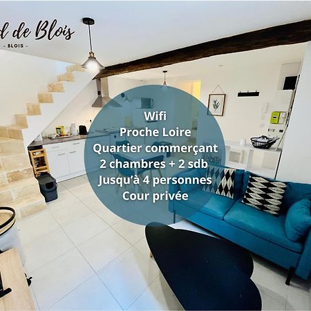 2 Suites, Cour Privee, Climatisation, Le Nid De Blois Vienne Exterior foto