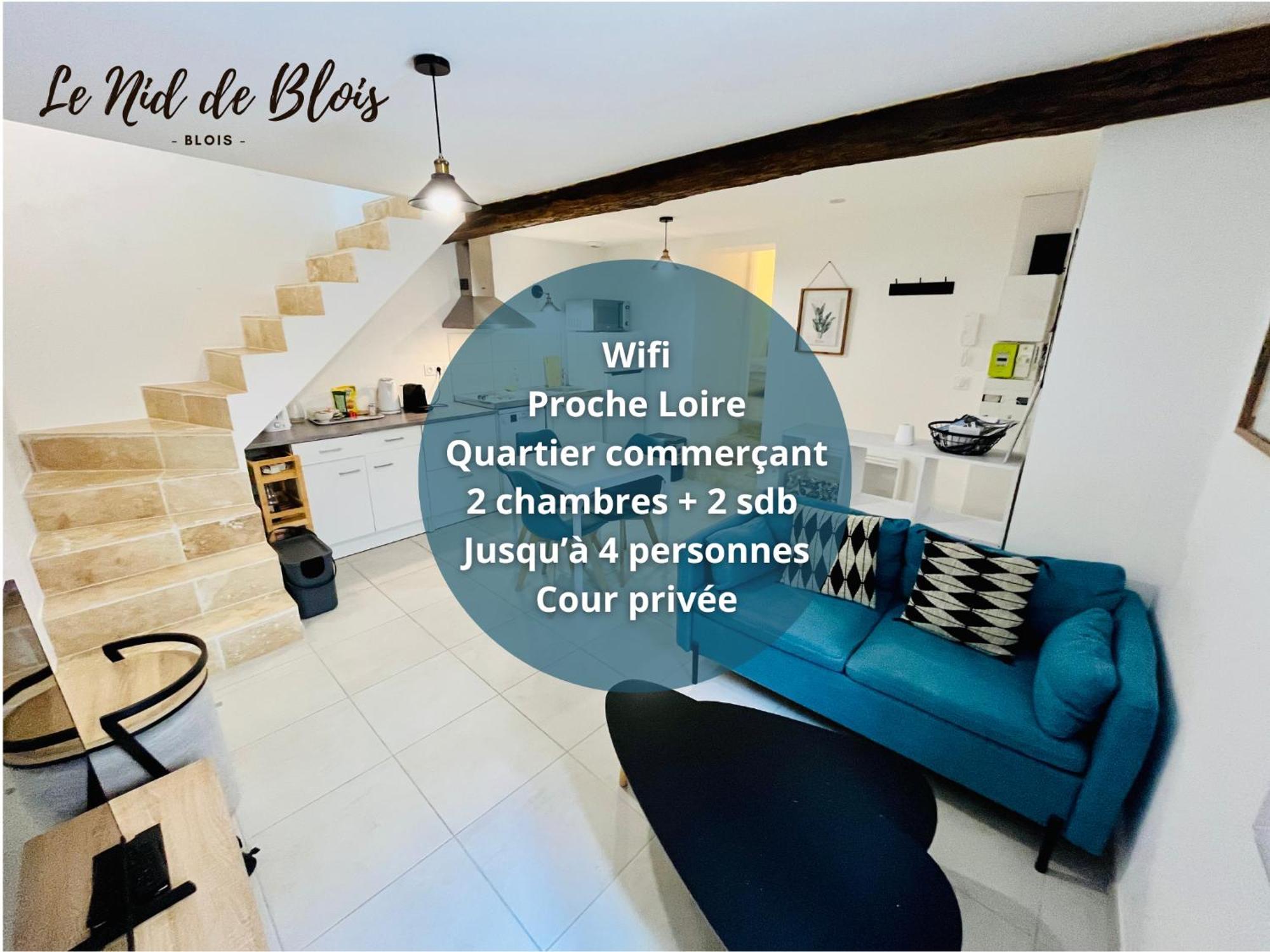 2 Suites, Cour Privee, Climatisation, Le Nid De Blois Vienne Exterior foto